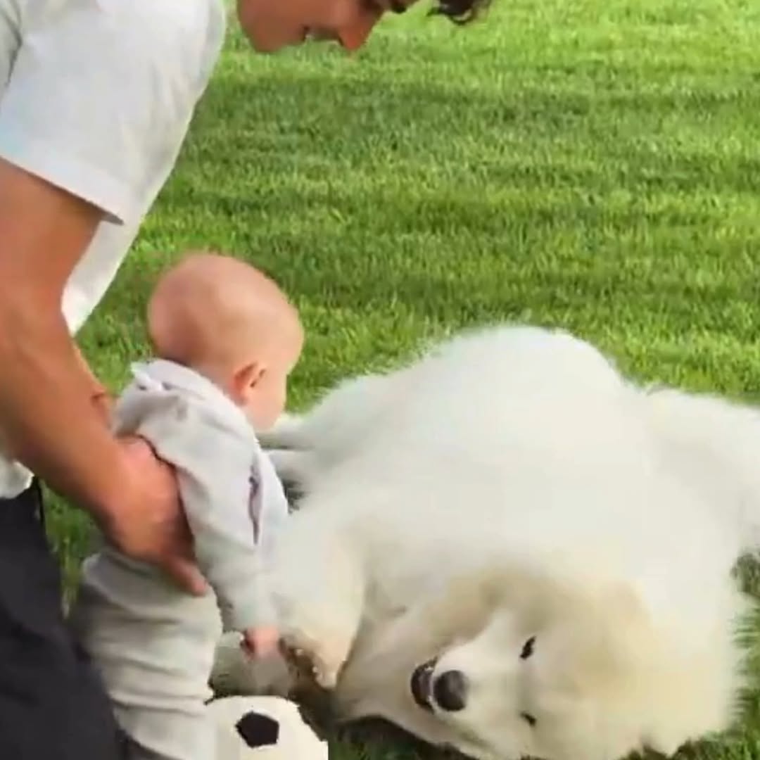 Publicacion de Instagram de Sportmax